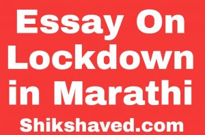 essay on what I did during lockdown In Marathi