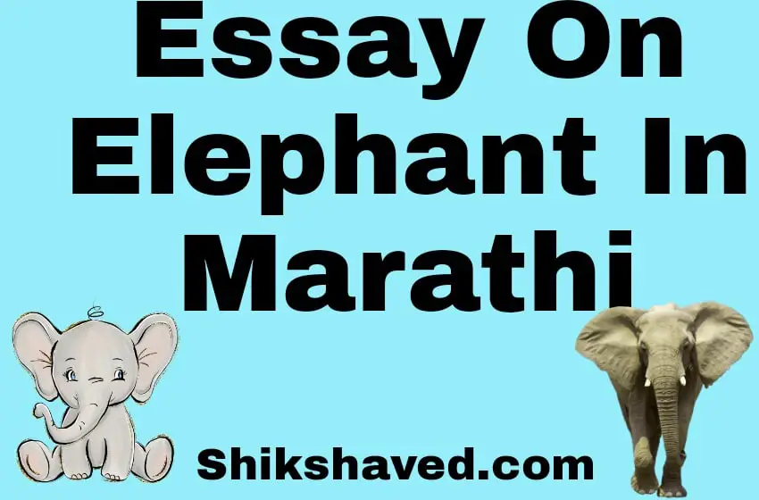 Essay On Elephant In Marathi