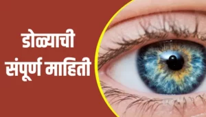 Eye Information In Marathi
